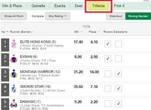 trifecta box payout calculator|Horse Betting Calculator: Types of Wagers Online and Calcula.